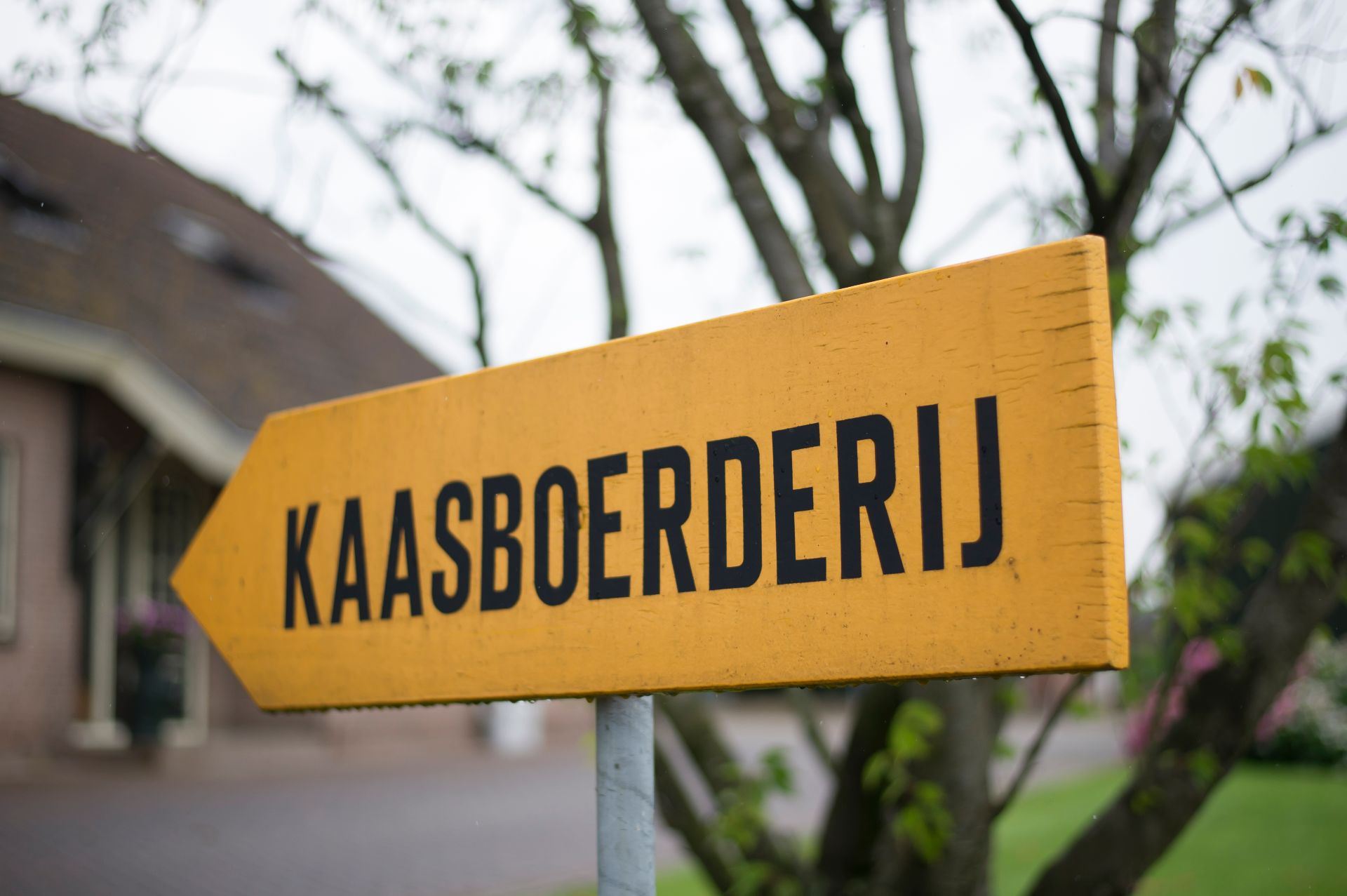 Het gele bord met de tekst Kaasboerderij bij de ingang